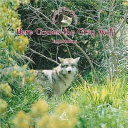Here Comes the Gray Wolf cover