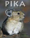 Pika: Life in the Rocks cover