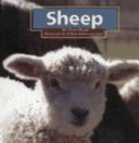 Sheep cover