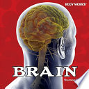 Brain cover