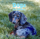 Dogs Are Smart! cover