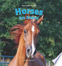 Horses Are Smart! cover