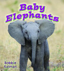 Baby Elephants cover