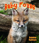 Baby Foxes cover