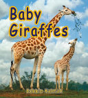 Baby Giraffes cover