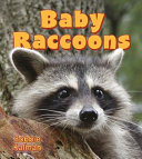 Baby Raccoons cover