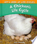A Chicken's Life Cycle cover