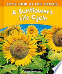 A Sunflower's Life Cycle cover