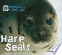 Harp Seals: Animals of the Snow and Ice cover
