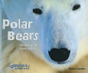 Polar Bears: Hunters of the Snow and Ice cover