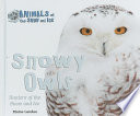 Snowy Owls: Hunters of the Snow and Ice cover