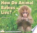 How Do Animal Babies Live? cover