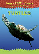 Turtles cover