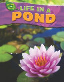 Life in a Pond cover