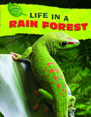 Life in a Rain Forest cover