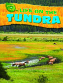 Life on the Tundra cover