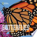Face to Face with Butterflies cover