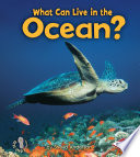 What Can Live in the Ocean? cover