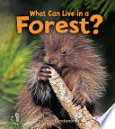 What Can Live in a Forest? cover