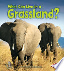 What Can Live in a Grassland? cover