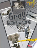 Gray Everywhere cover