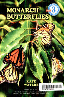 Monarch Butterflies cover