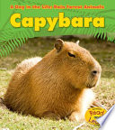 Capybara cover