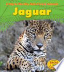 Jaguar cover