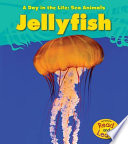 Jellyfish cover