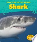 Shark cover