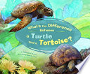 What's the Difference Between a Turtle and a Tortoise? cover