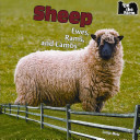 Sheep: Ewes, Rams, and Lambs cover
