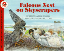 Falcons Nest on Skyscrapers cover