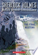 The Final Meeting cover
