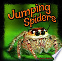 Jumping Spiders cover