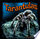Tarantulas cover