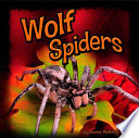Wolf Spiders cover