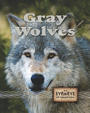 Gray Wolves cover