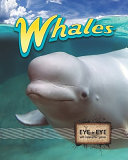 Whales cover