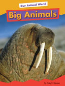 Big Animals cover