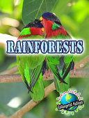 Rainforests cover