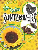 Sunflowers cover