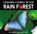 Looking Closely in the Rain Forest cover
