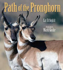 Path of the Pronghorn cover
