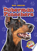 Doberman Pinschers cover