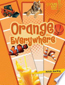 Orange Everywhere cover