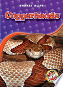 Copperheads cover