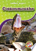 Cottonmouths cover
