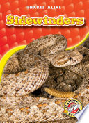 Sidewinders cover