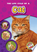 The Life Cycle of a Cat cover